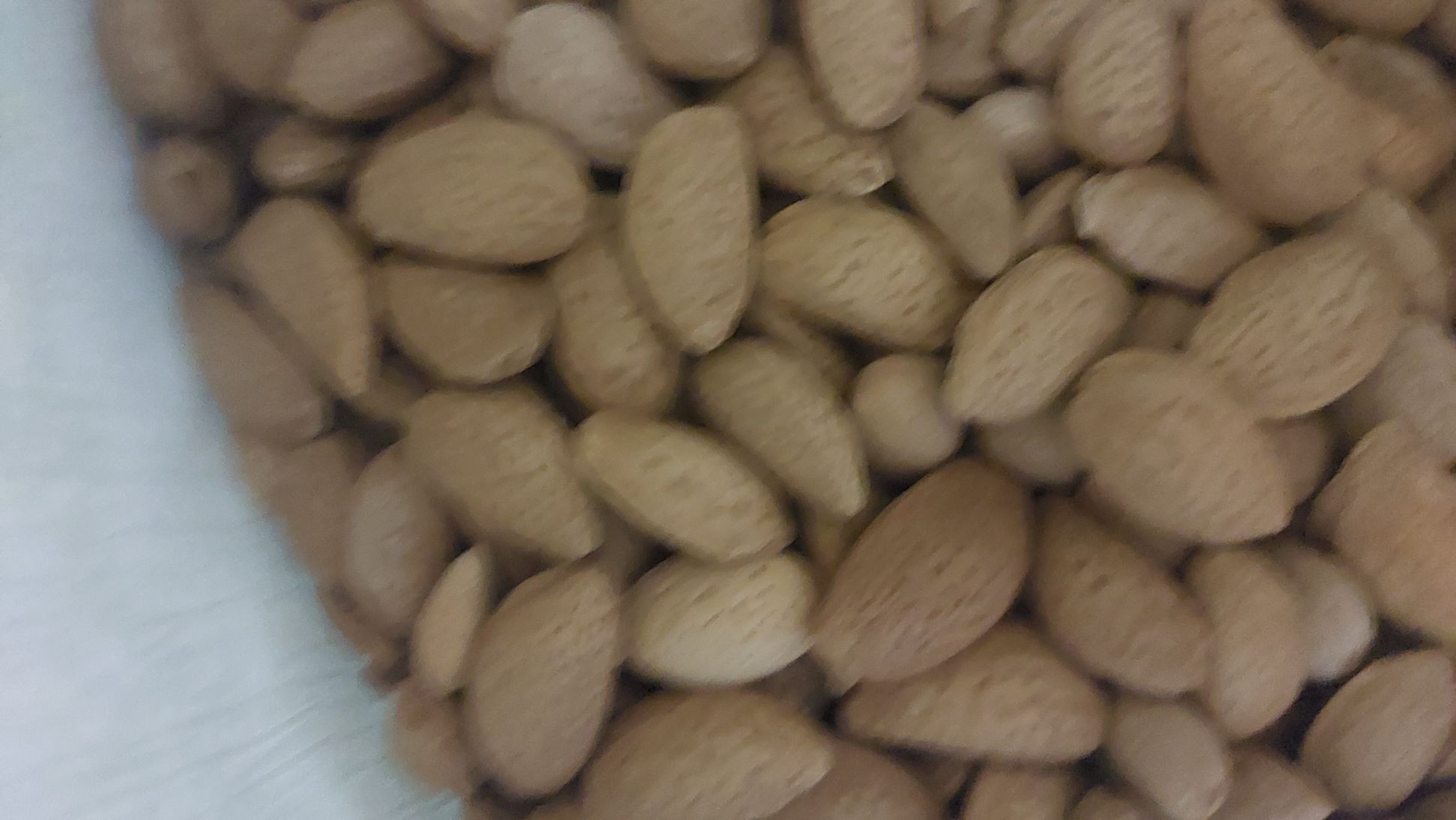 بادام سنگی درختی 